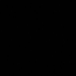 Meet your Posher, Lyric